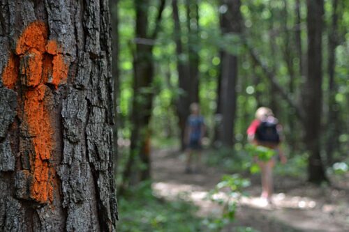 Mejores Rutas De Senderismo Cerca De CDMX