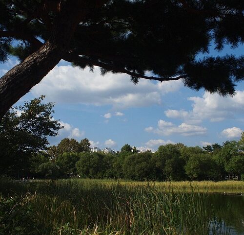 Señales De Que Un Ecosistema Está En Peligro